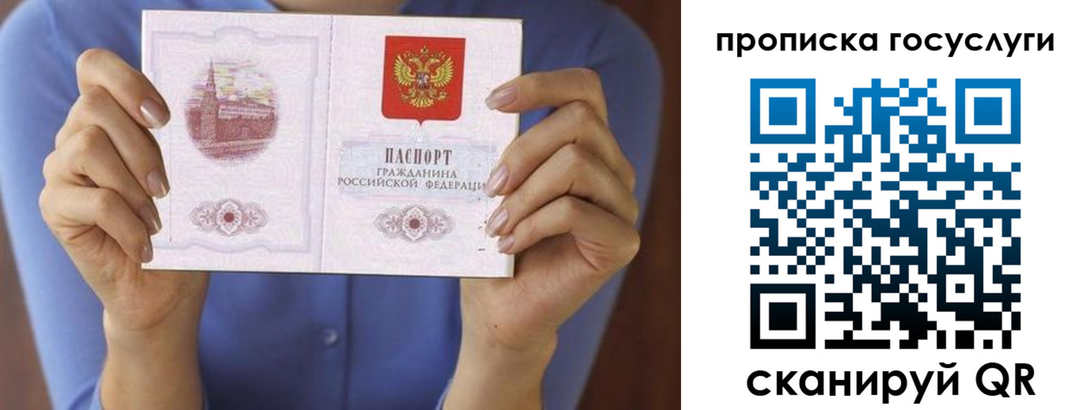 временная регистрация поиск в Коле